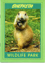 Shepreth 2003 - Prairie Marmot